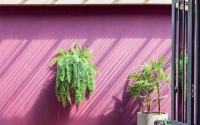 ไอเดียตกแต่งบ้าน